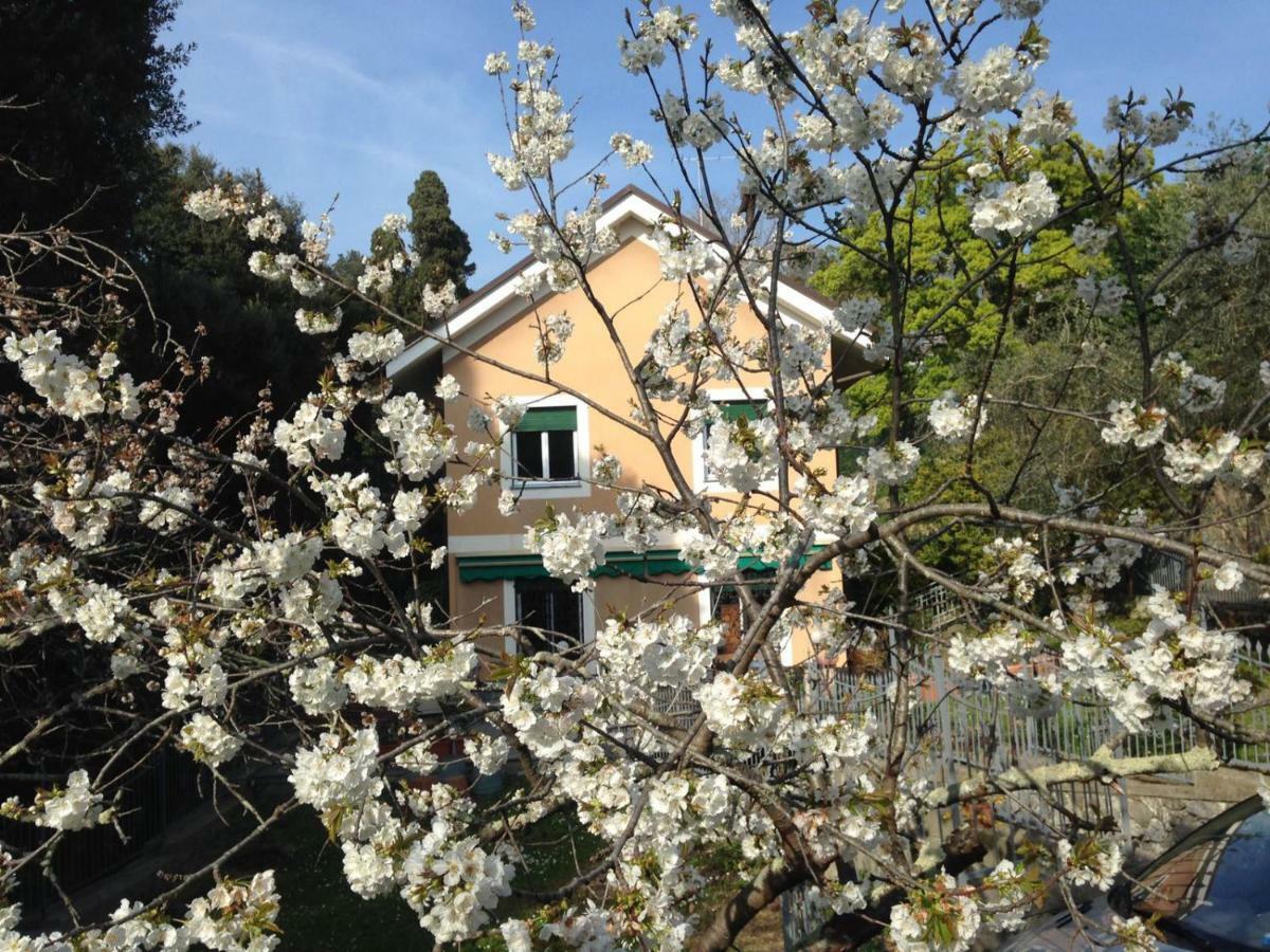 B&B La Rosa Segreta Генуя Экстерьер фото